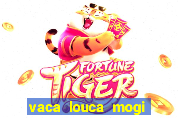 vaca louca mogi das cruzes